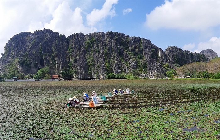 Suối Ấu Vĩnh An điểm mới hấp dẫn du khách trong tiết trời sang thu