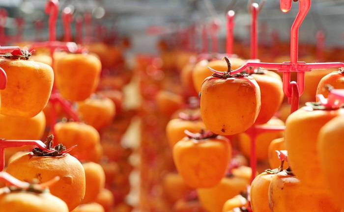 Độc đáo nghề làm hồng treo gió Đà Lạt