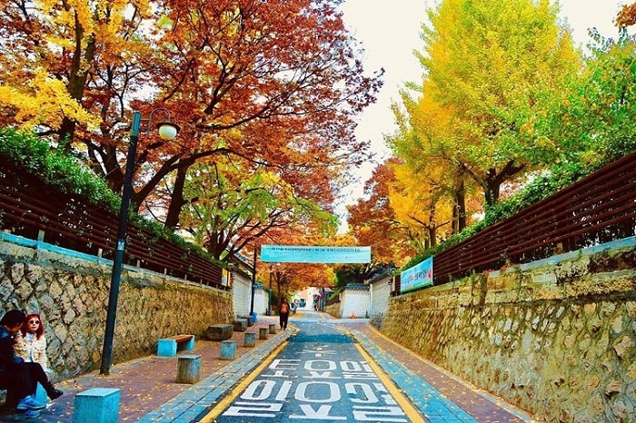 Giai điệu mùa thu trên hàng ngân hạnh phố cổ Samcheongdong