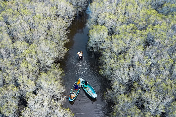 Lạc lối ở 2 khu rừng ngập mặn ở miền Trung đẹp như tranh vẽ vào mùa thu