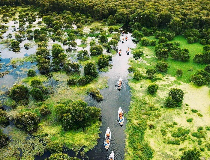 Miền Tây mùa nước nổi, thử về rừng tràm Trà Sư An Giang ngắm cảnh đẹp xuất thần