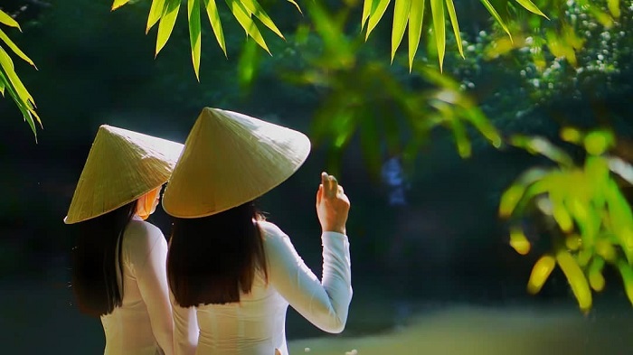 Lạc vào rừng trúc xanh đẹp như Nhật Bản ở Sơn Trà Tịnh Viên Đà Nẵng