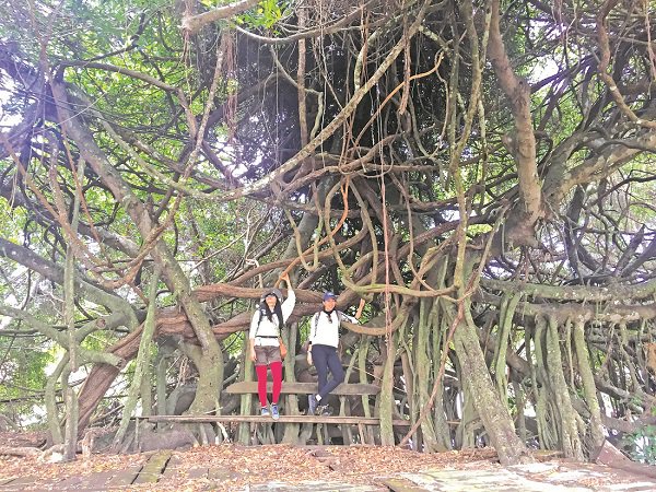 Thám hiểm rừng khộp Yok Don