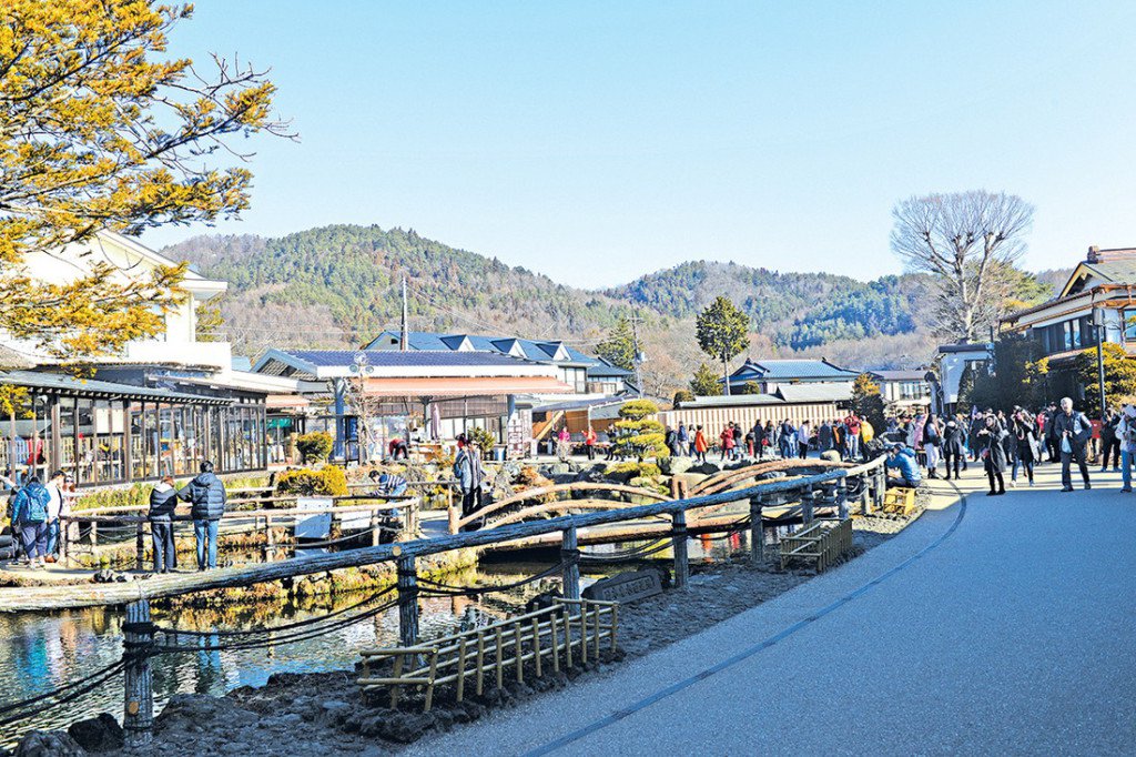 Vừa ngắm tuyết rơi, vừa ngắm anh đào ở Nhật