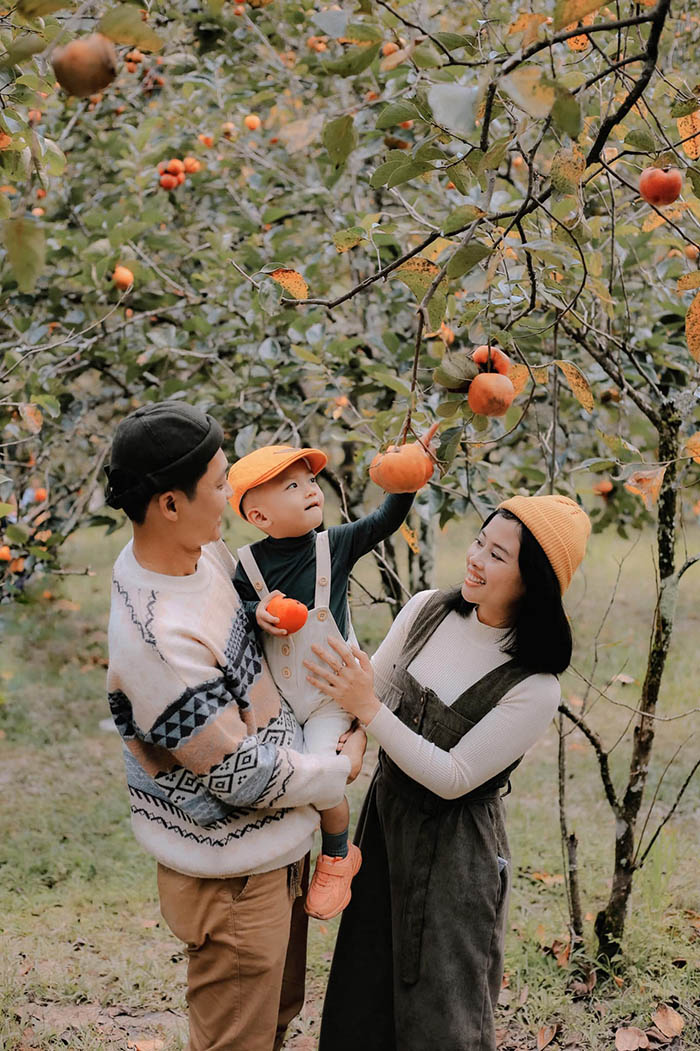 'Ôm tim' ngắm bộ ảnh gia đình ở vườn hồng chín Đà Lạt đáng yêu muốn xỉu