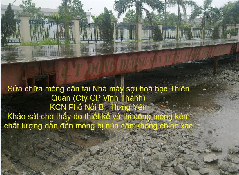 Dịch vụ sửa chữa cân điện tử