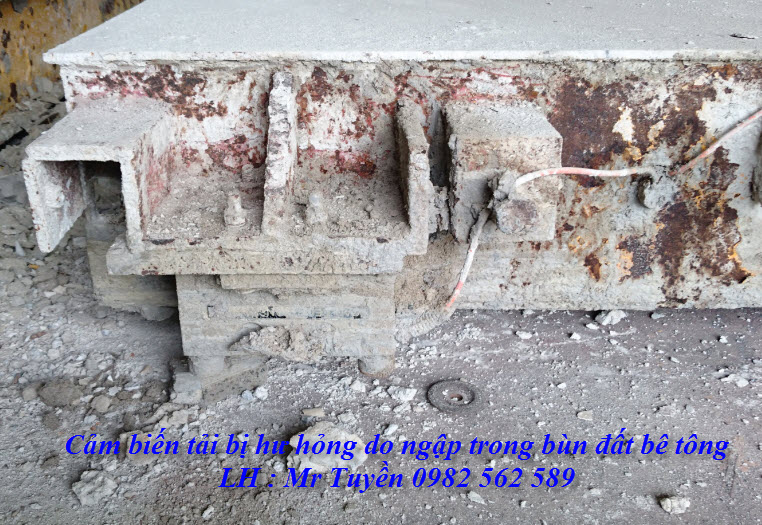 Sửa chữa bảo dưỡng bàn cân
