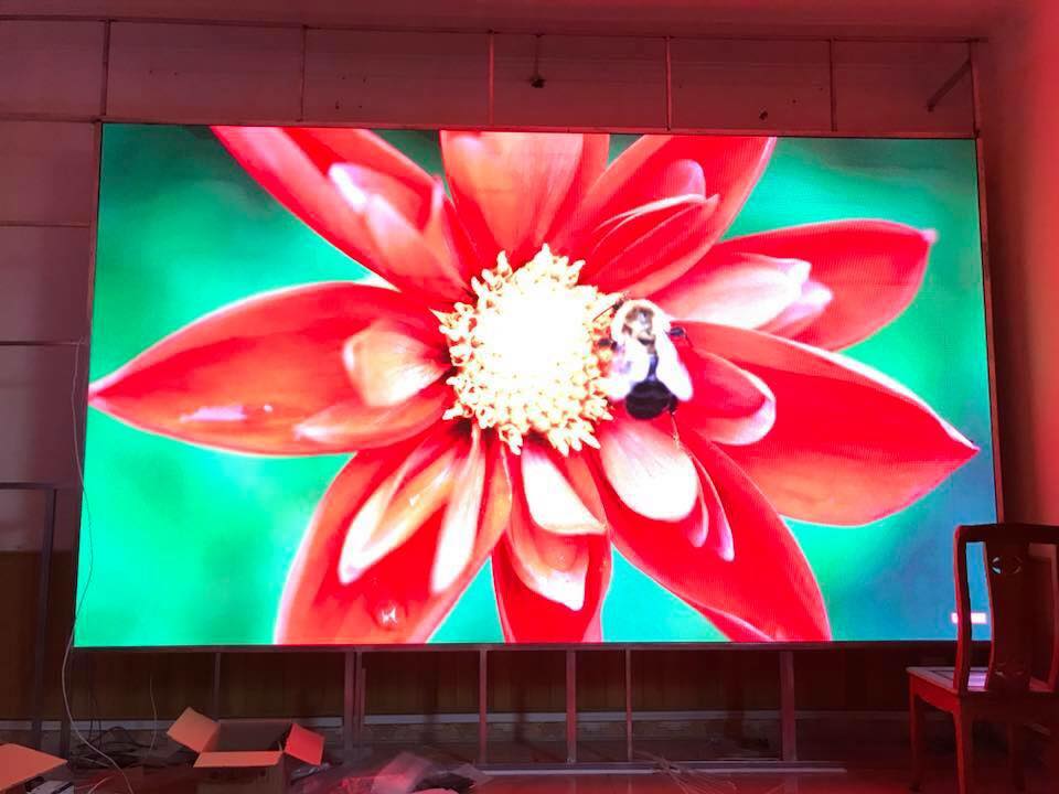 man-hinh-led-an-phat