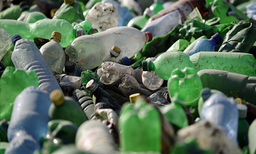 Phát hiện mới về vi khuẩn ăn rác thải nhựa