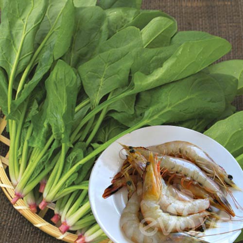 7-cap-thuc-pham-nau-chung-khien-be-an-hoai-khong-lon