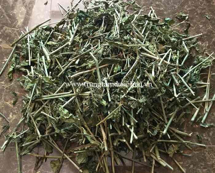 CÂY XƯƠNG KHỈ, CÔNG DỤNG CÂY XƯƠNG KHỈ