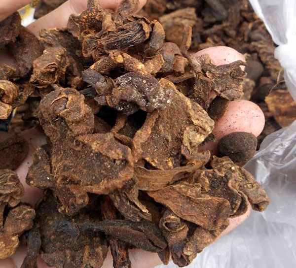 nấm ngọc cẩu khô bổ thận
