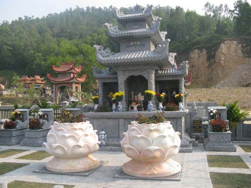 hoa sen được sử dụng để trang trí hoa sen được sử dụng để trang trí