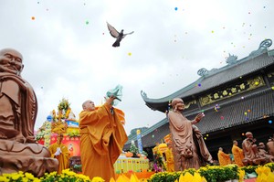 thả chim bồ câu trong đại lễ 