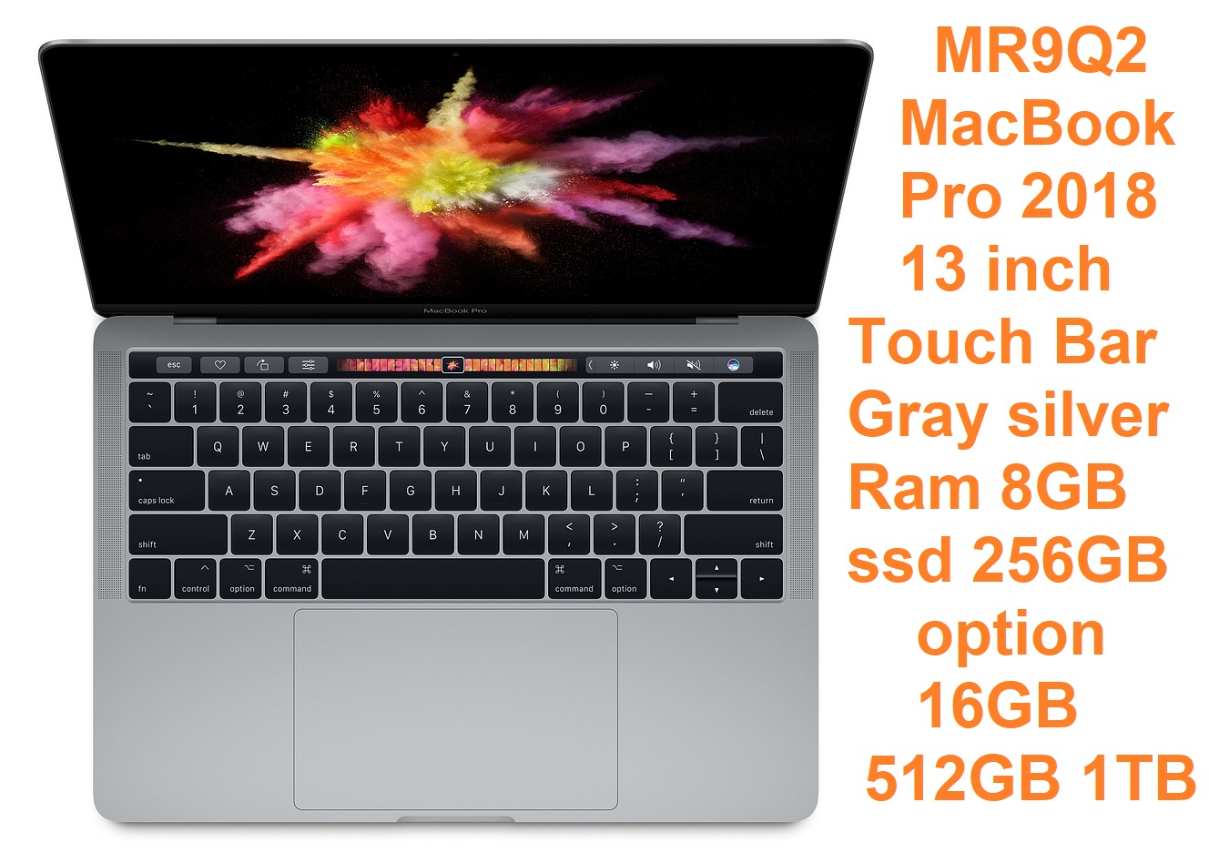 MR9Q2 MacBook Pro 2018 13 inch Touch Bar Gray silver Ram 8GB ssd 256GB option 16GB 512GB 1TB