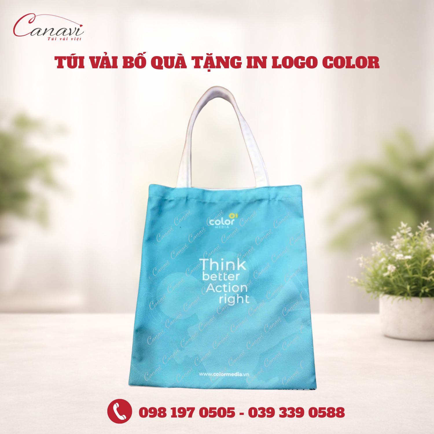 Túi vải bố quà tặng in logo Color