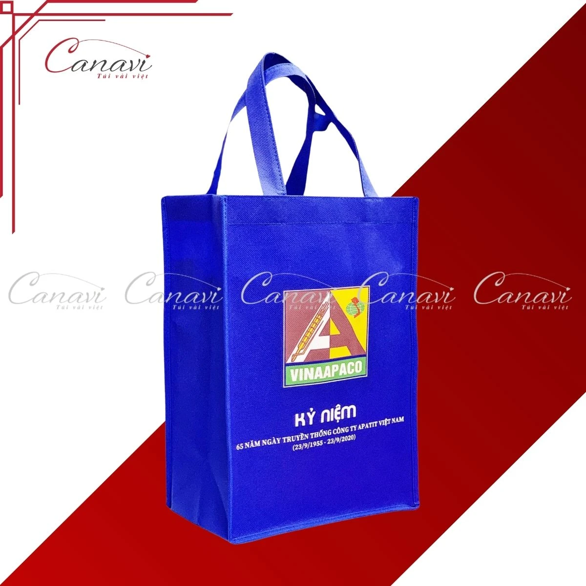 Túi Vải Không Dệt TVKDN1 Vina Apaco