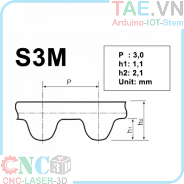 Dây Đai Liền S3M 384