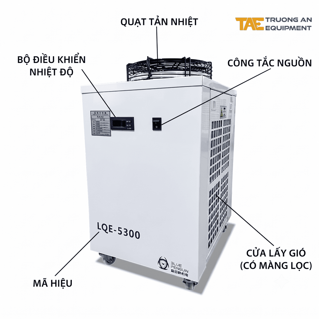 cấu tạo trước
