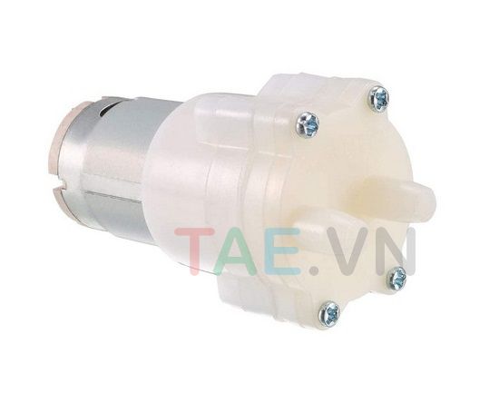 Động Cơ Bơm Nước DC 12V R365