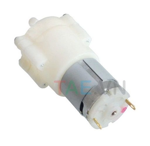 Động Cơ Bơm Nước DC 12V R365