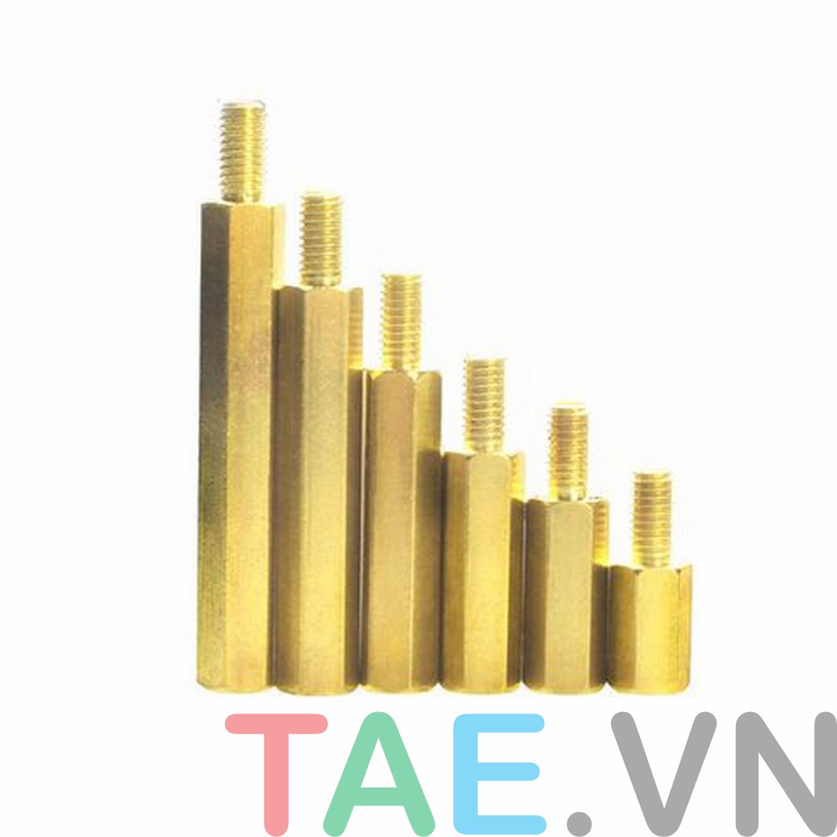 Ốc Lục Giác Đồng M3 Đực - Cái