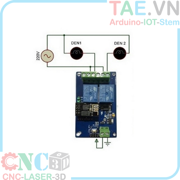 Mạch Wifi ESP8266 2 Relay 5VDC