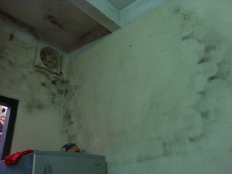 Tường nhà bị thấm và ẩm mốc gây cảm giác khó chịu và mất đi vẻ thẩm mỹ của ngôi nhà