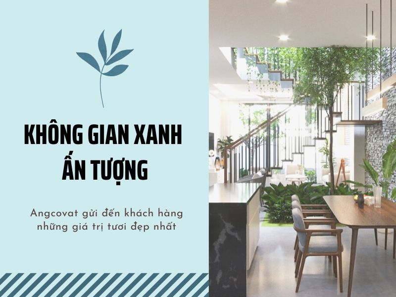 không gian thiết kế nhà xánh tính tế và mới mẻ