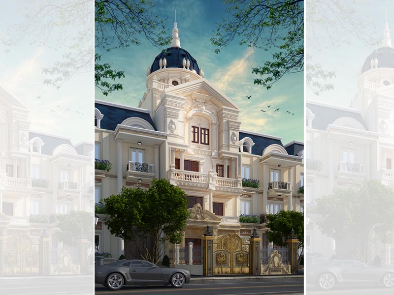 Toàn bộ không gian ngoại thất mẫu thiết kế xây biệt thự pháp trên đất 8x20 nhìn từ xa