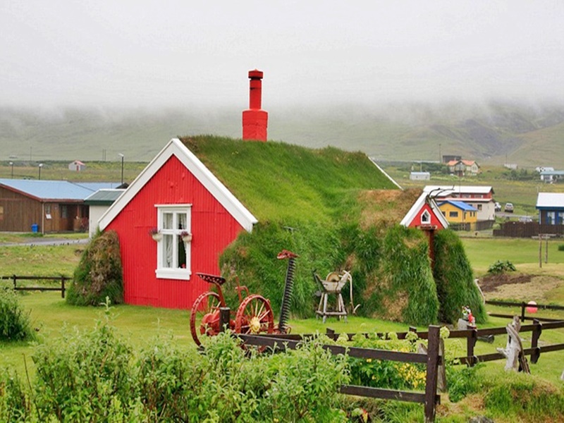 ngôi nhà mái cỏ độc nhất vô nhị