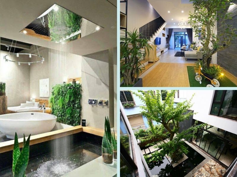nội thất đầy sức sống của thiết kế nhà xanh