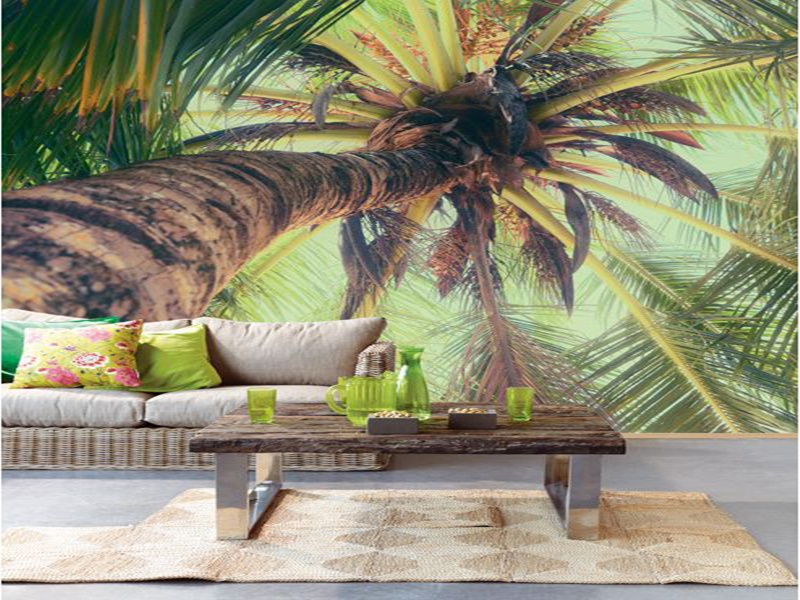 phong cách thiết kế nội thất miền nhiệt đới