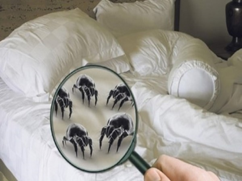 cấu tạo nền nhà chống nồm