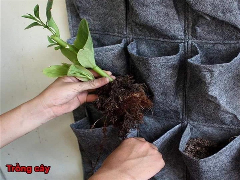 Thi công vườn đứng trong nhà