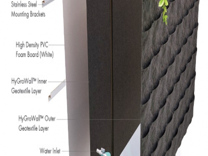 Thi công vườn đứng trong nhà