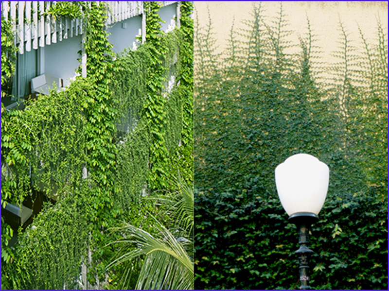 nhà 3 tầng hướng tây