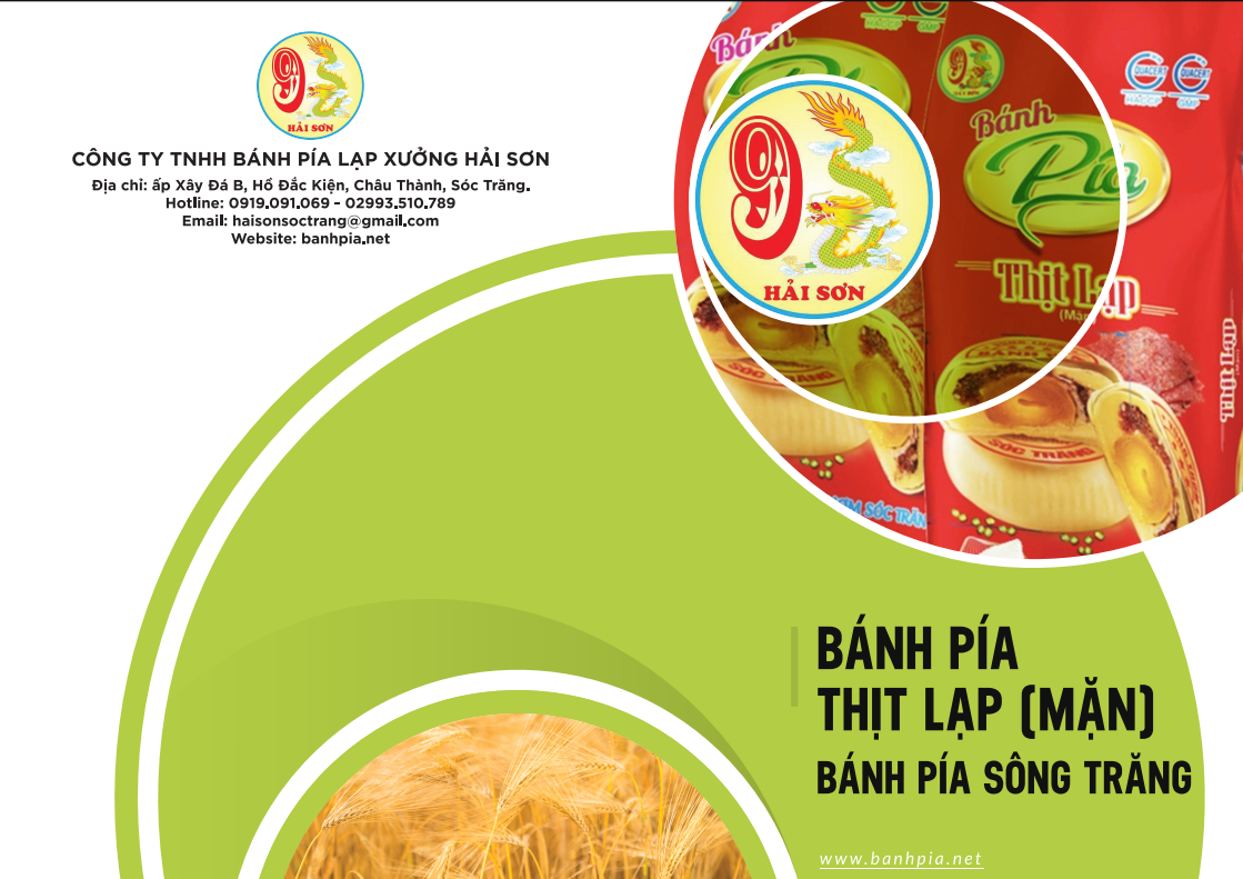 bánh pía thịt lạp hải sơn