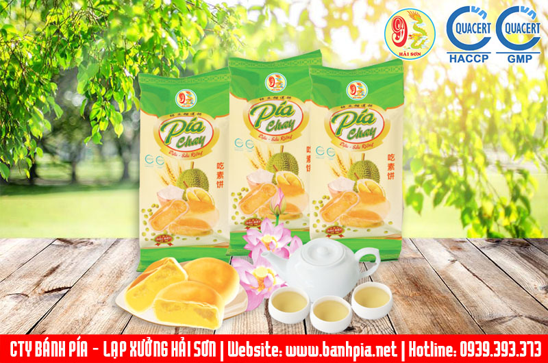 Bánh pía chay hải sơn 300g