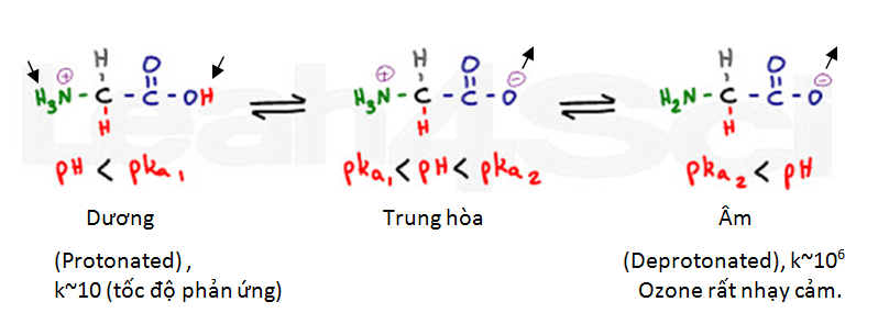 Ảnh hưởng pH lên phản ứng ozone
