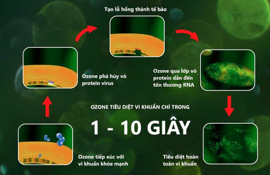 Ứng dụng máy ozone khử khuẩn