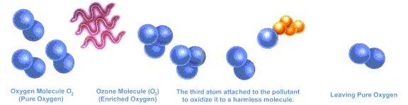 hoạt động của ozone