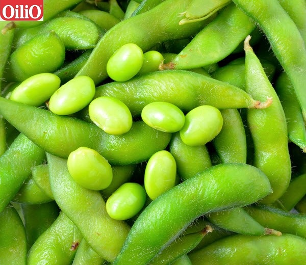 Đậu nành tốt cho phụ nữ tuổi mãn kinh 1