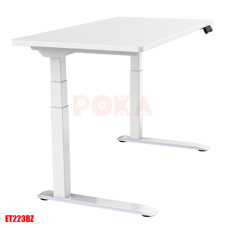 Bàn nâng hạ bằng điện 2 motor Flexispot ET223BZ