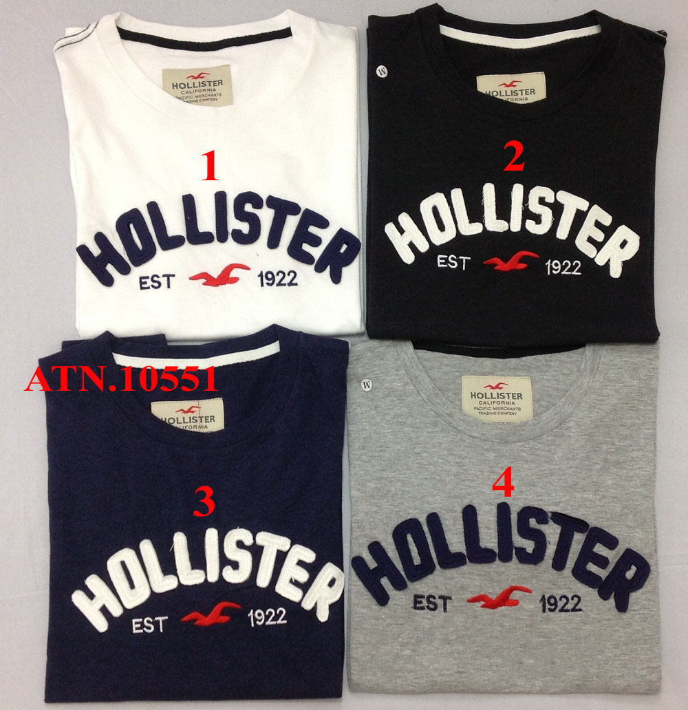 Áo thun nữ đắp chữ Hollister giá rẻ
