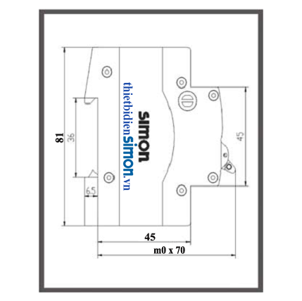 Nhà nhập khẩu simon ở việt nam