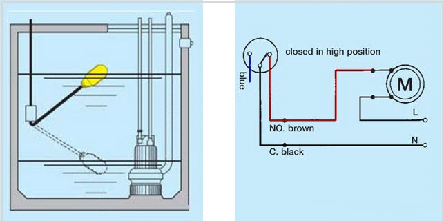 Phao điện nước