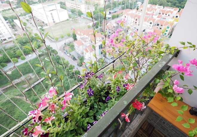 Tưới nước tự động theo thời tiết