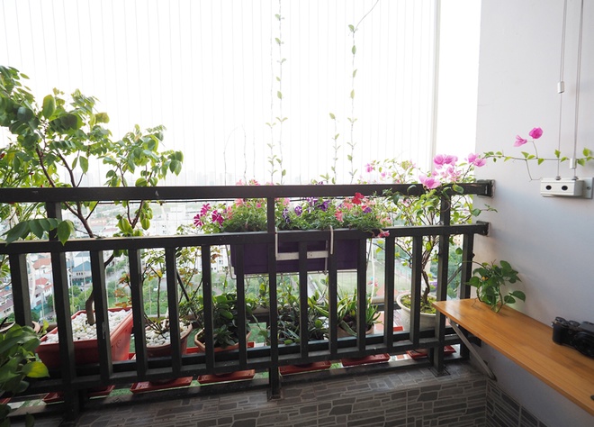 Vườn hoa tưới nước tự động