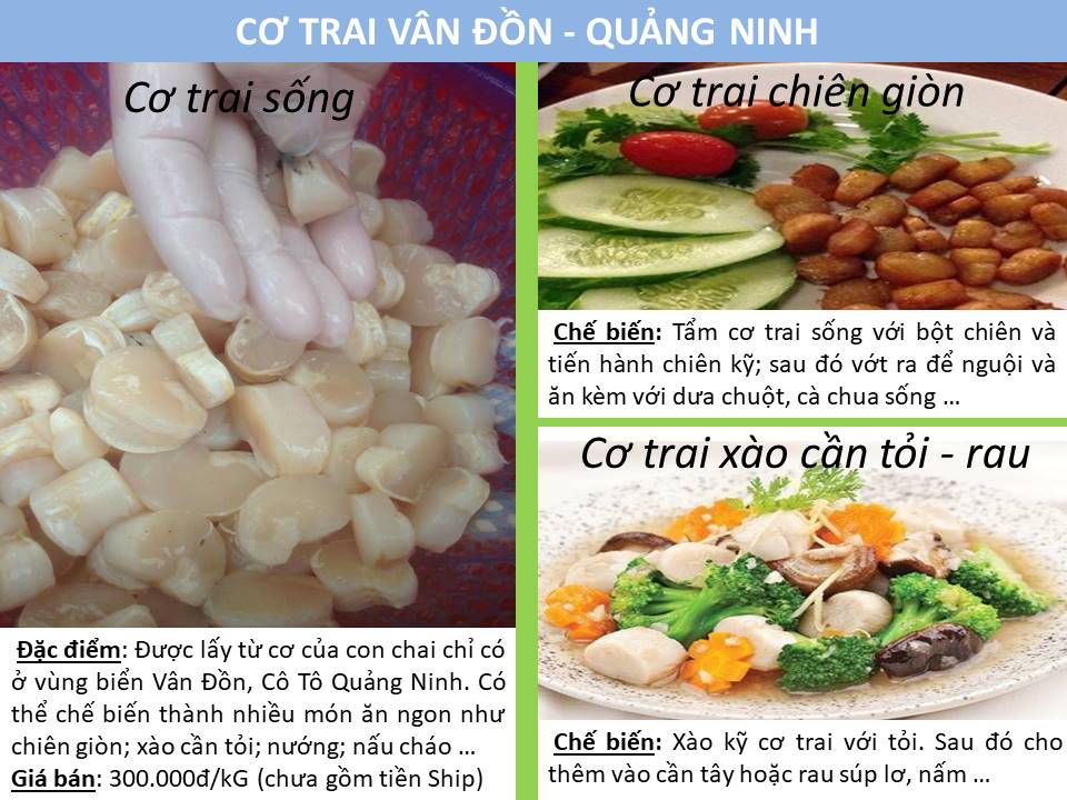 Thông tin về các món ăn chế biến từ cơ trai đảo Cô Tô